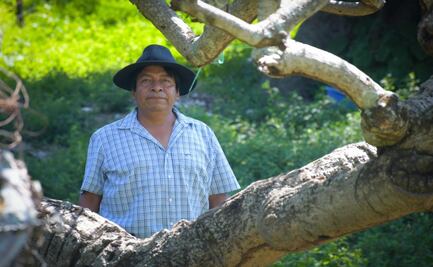 Exige Sección 22 justicia por asesinato de activista en San Baltazar Loxicha; piden la destitución del edil