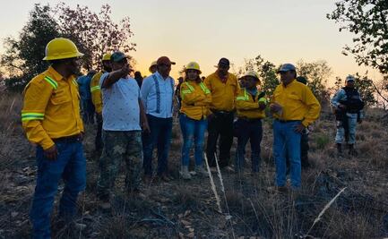 A 9 días de incendio en la Mixteca de Oaxaca, ingresan brigadas a zona de conflicto entre Mixtepec y Yosoñama