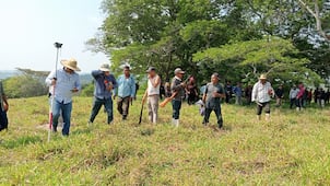 Tras perder juicio agrario, comuneros de Santa María Chimalapas inician el brecheo de sus límites con Petapa  