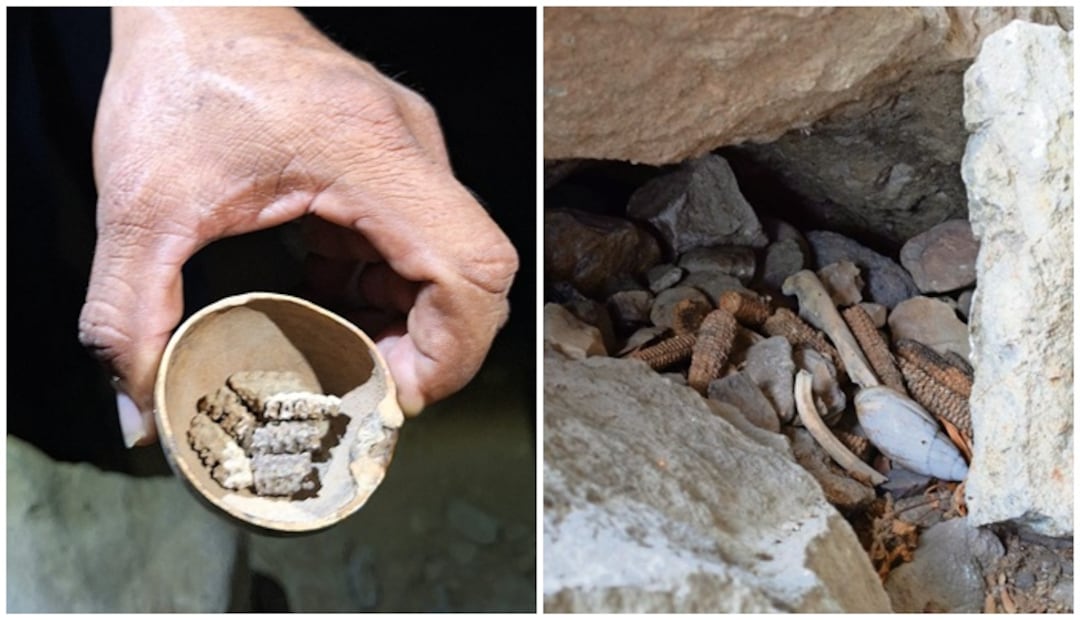 Restos fósiles de más de 12 mil años en las cuevas Ree Billiee