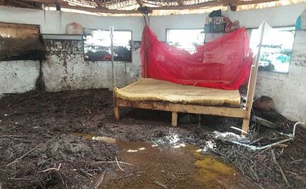 Agatha devastó Piña Palmera, centro para personas con discapacidad en Zipolite; claman ayuda