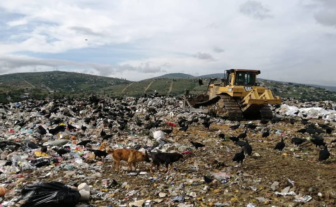 Foto: Juan Carlos Zavala EL UNIVERSAL