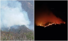 Reportan incendio forestal fuera de control en Santiago Yosondúa, Oaxaca; piden apoyo de voluntarios y víveres