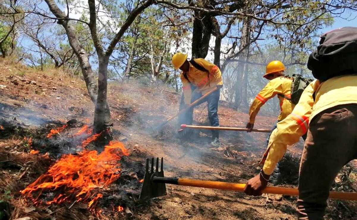 En lo que va del año, se han registrado 134 incendios forestales en Oaxaca, según datos de la Coesfo. Foto: Coesfo