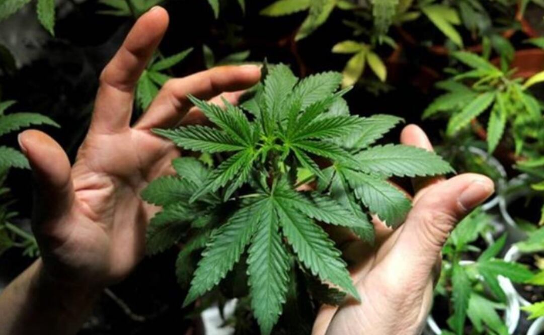 Foto: Archivo EL UNIVERSAL