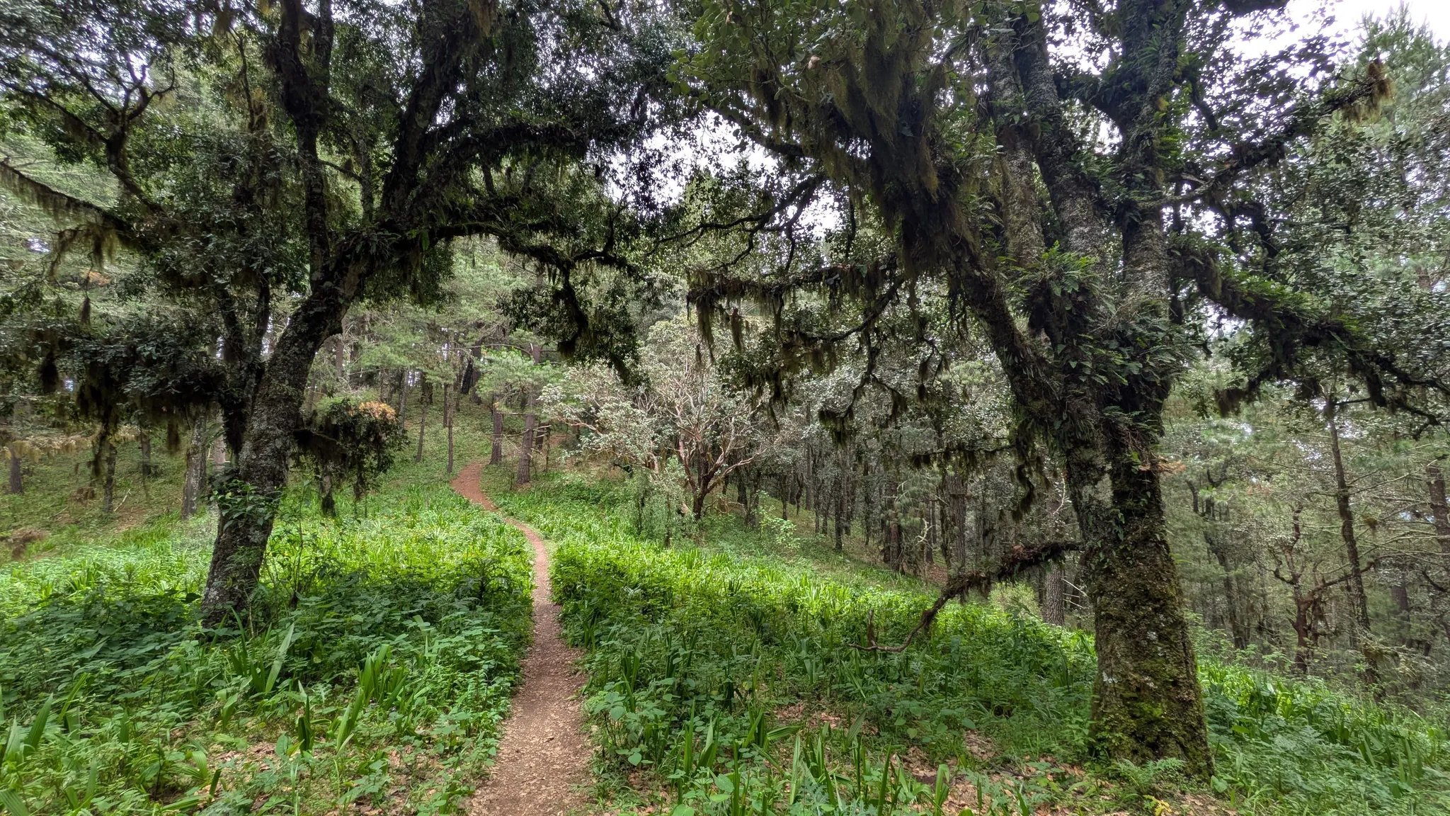 Ruta Cabeza de vaca. Foto: www.alltrails.com