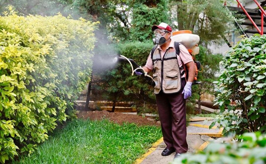 Suman 6 muertes y 2 mil 690 casos de dengue en Oaxaca, la mayoría en Valles Centrales