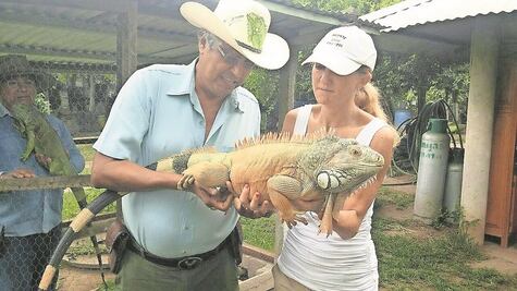 De cazador a protector iguanero