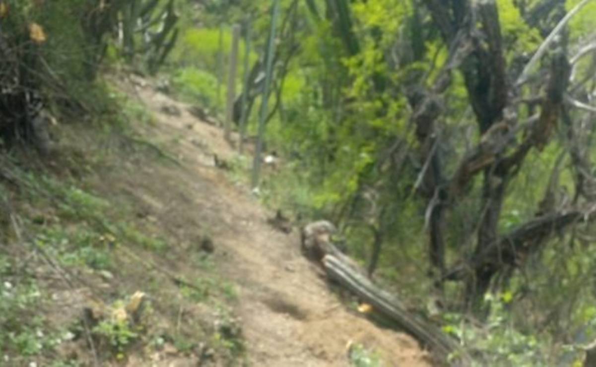 Denuncia sociedad agrícola de Santiago Chazumba amenaza y posible despojo por funcionarios del TUA