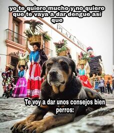 Convierten a Mazapán en vocero de la lucha contra el dengue