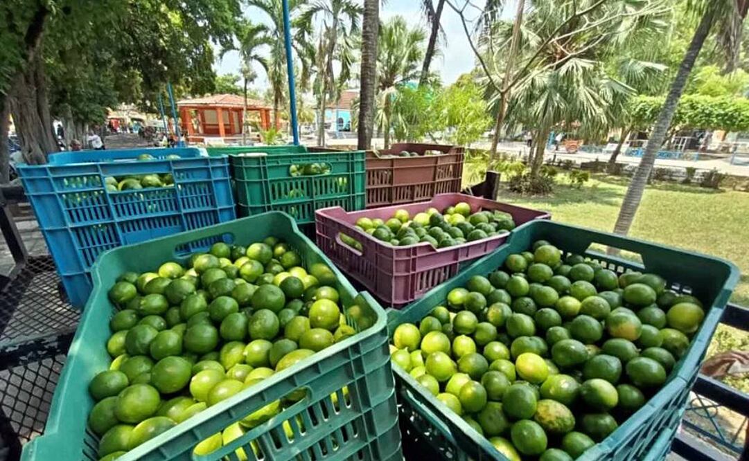 Foto: Antonio Mundaca