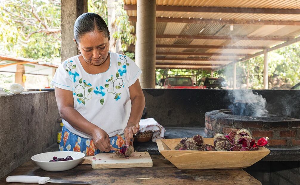 Preparación del pulque de cardón. Foto: Bebidas de Oaxaca.