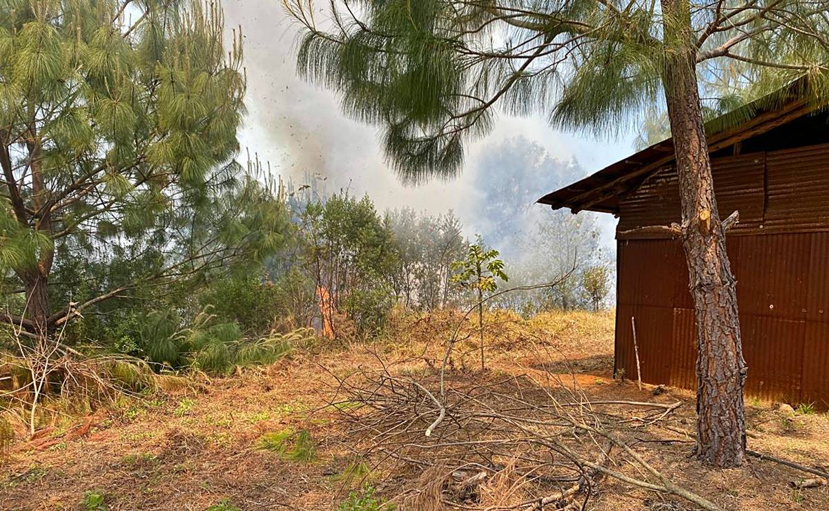 11 incendios activos azotan Oaxaca; "necesitamos apoyo urgente, hay casas en riesgo"
