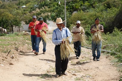 Los hombres de la palma que tejen por su sobrevivencia