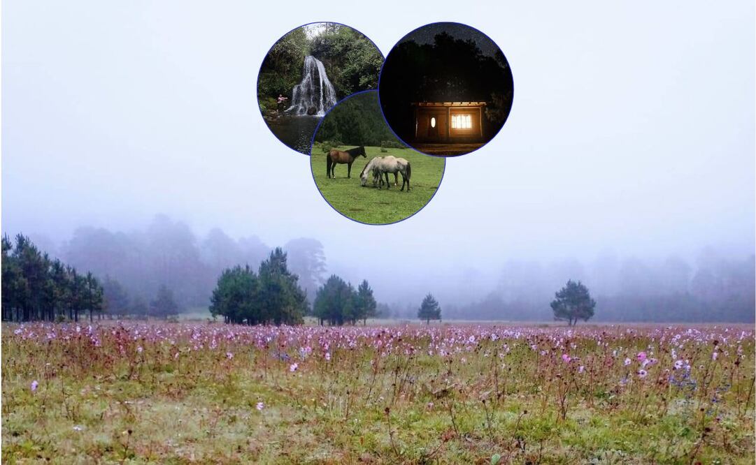 Vive la aventura en el paraíso del Llano de las Flores con experiencias únicas en la naturaleza. Fotos: Llano De Las Flores Atepec
