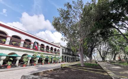 Advierte ambientalista condiciones adversas para Higo del Valle sembrado en el zócalo