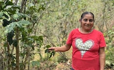 Sobreviviente; la perrita Luna busca un nuevo hogar