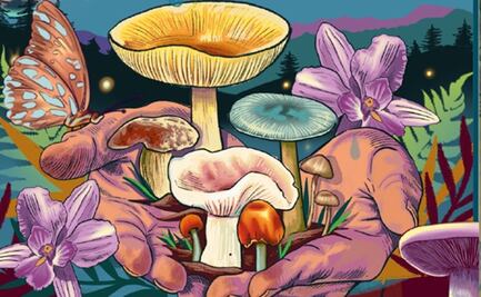 Festival del Hongo 2025 en Oaxaca: fechas, actividades y todo lo que debes saber