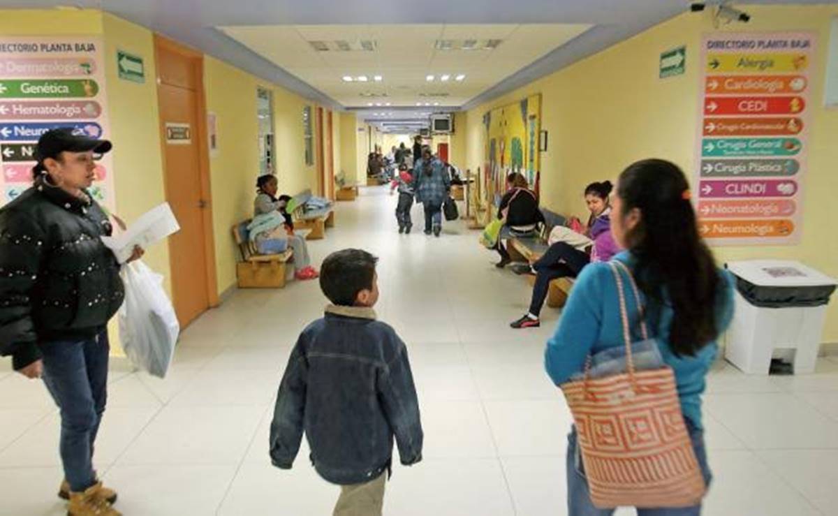 Muere niño de Oaxaca con posible contagio de rabia silvestre