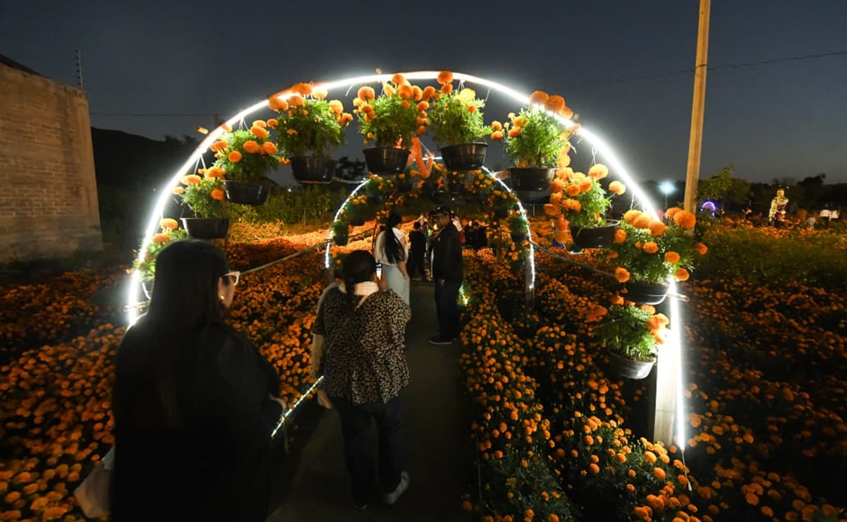 Flores que Guían el Alma: el nuevo recorrido turístico de Oaxaca que honra al cempasúchil