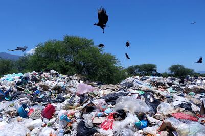 Improvisa Ayuntamiento de Oaxaca basurero en Tanivet, Tlacolula