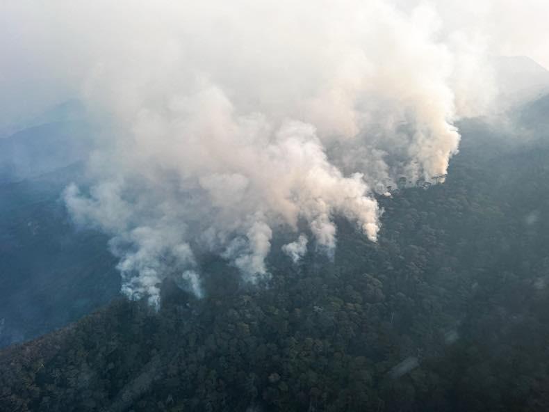 Suman 76 incendios en el estado de Oaxaca; se mantienen 5 activos. Foto: Especial