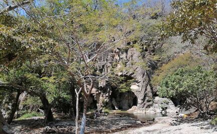 Ejidatarios de La Venta, Oaxaca, piden declarar área protegida voluntariamente a un paraje de selva