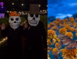 “El Camino de las Ánimas”: Dónde se encuentra el campo de cempasúchil iluminado de Oaxaca
