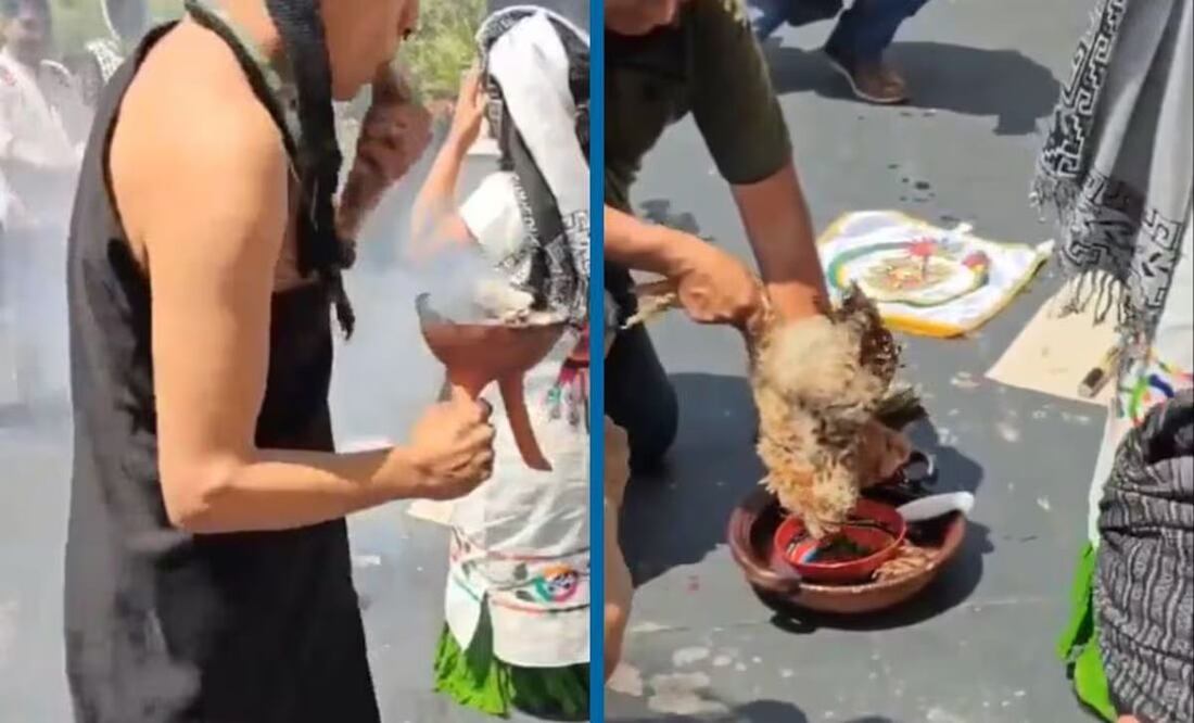 Senador de Oaxaca que sacrificó a una gallina para atraer la lluvia podría ser sancionado crueldad