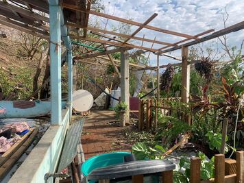 Tras Agatha, restablecido en su totalidad el servicio de electricidad en Oaxaca: Alejandro Murat