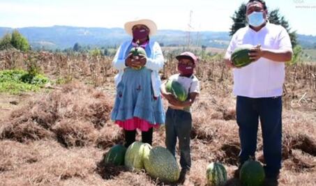 Pide legislador que gobierno de Oaxaca apoye a agricultores afectados por heladas con presupuesto aprobado