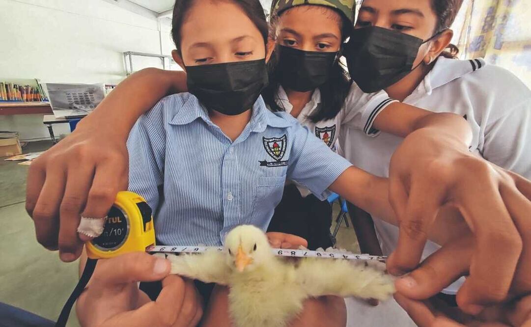 Implementan nuevo modelo de interés en la ciencia y la investigación en escuelas de nivel básico de Ixtepec. Foto: Roselia Chaca
