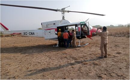 Autoridades de San Miguel Chimalapa y Santa María Chimalapa reportan incendio forestal