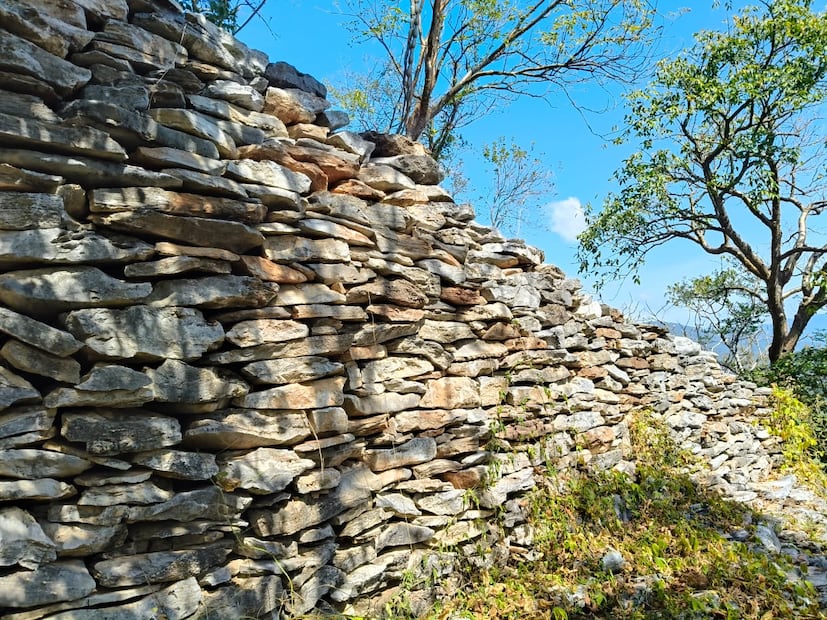 Foto: Juan Carlos Zavala EL UNIVERSAL