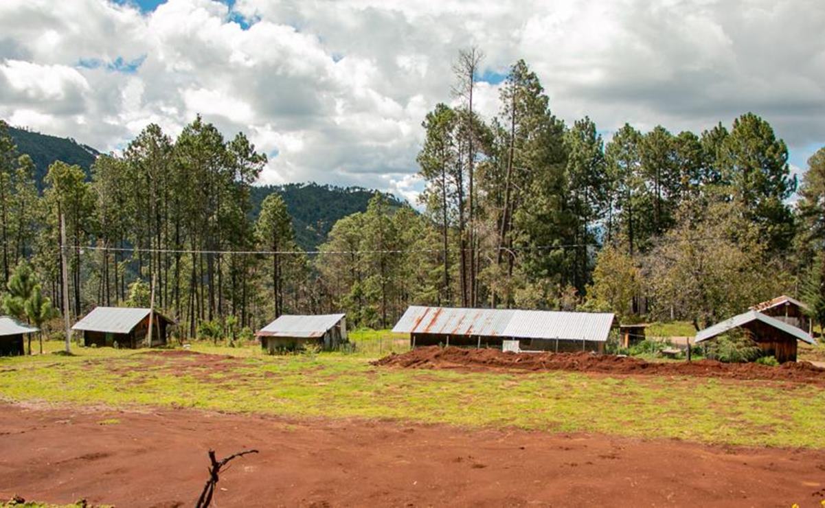 Narco, tráfico de armas y tala clandestina, trasfondo de pugnas agrarias de riesgo en Oaxaca