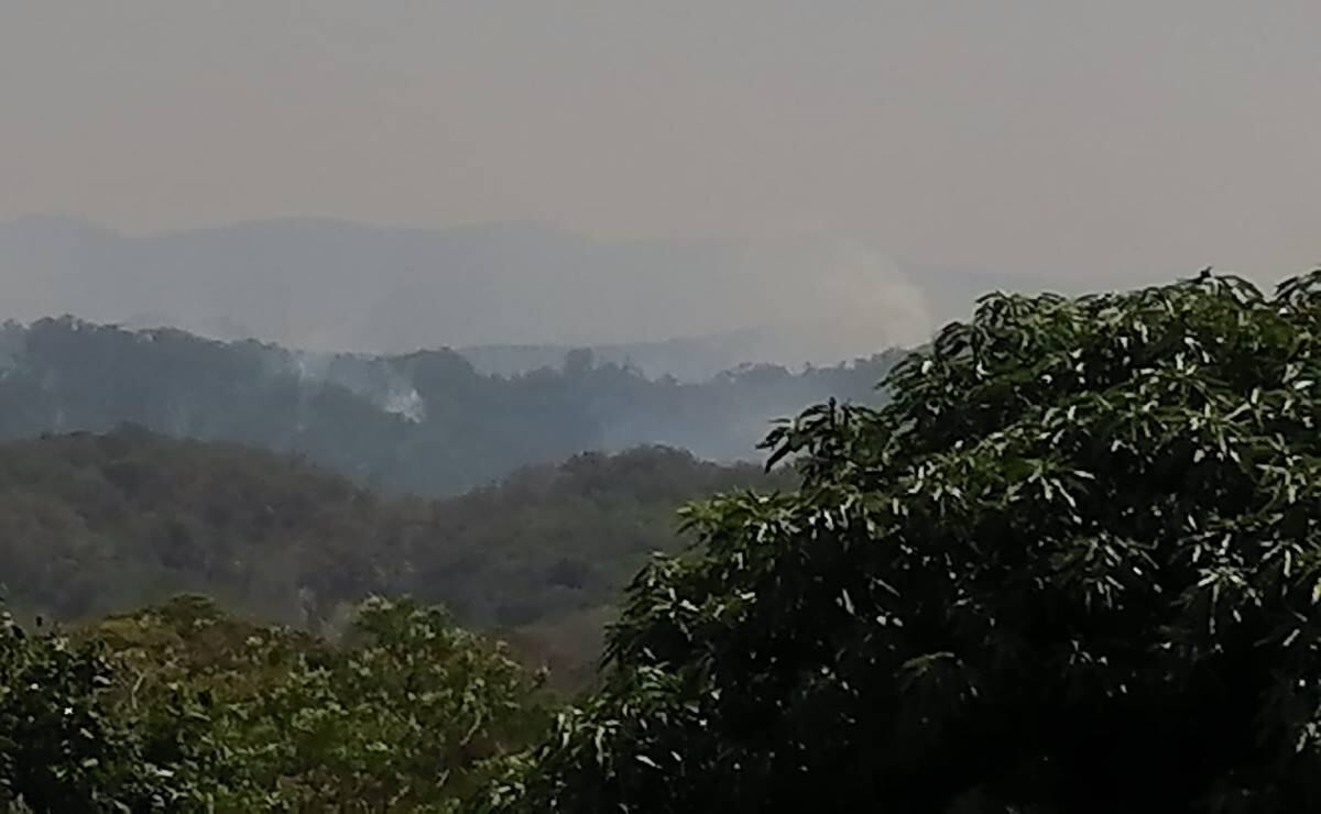 Reportan cinco incendios activos en la selva de Santa María Chimalapas ...