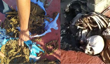 “Se debe indagar el deficiente manejo de osamenta” en edificio de Vicefiscalía del Istmo