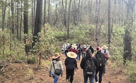 Comuneros y comuneras de Teposcolula, Oaxaca, rechazan Programa de Manejo Forestal Maderable