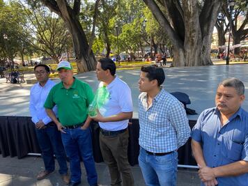Anuncian construcción de un árbol monumental navideño elaborado con pet