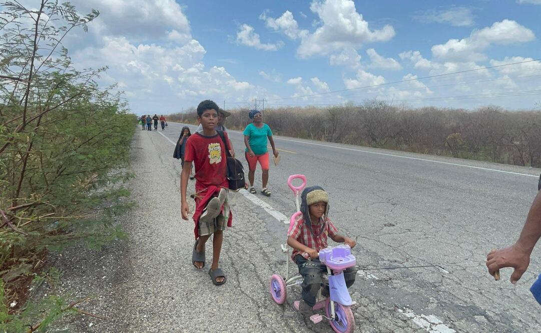 Al menos 10 bebés han nacido de madres migrantes en territorio de Oaxaca este 2024. Foto: Archivo EL UNIVERSAL