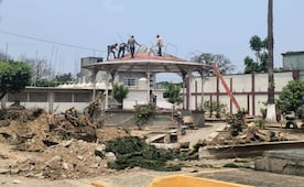 Denuncian tala de árboles y destrucción de áreas verdes en cabecera municipal de Santo Domingo Petapa, Oaxaca