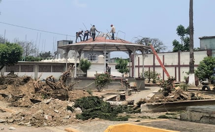 Denuncian tala de árboles y destrucción de áreas verdes en cabecera municipal de Santo Domingo Petapa, Oaxaca