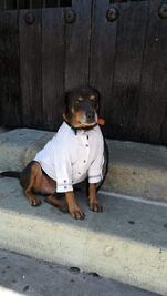 La modista detrás del   estilazo  de Mazapán