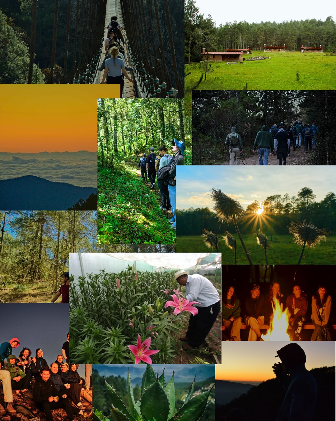Pueblos mancomunados en Oaxaca. Foto: Instagram, @expediciones_sierra_norte