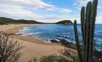 Advierten ambientalistas que Oaxaca puede perder categoría del estado más diverso del país
