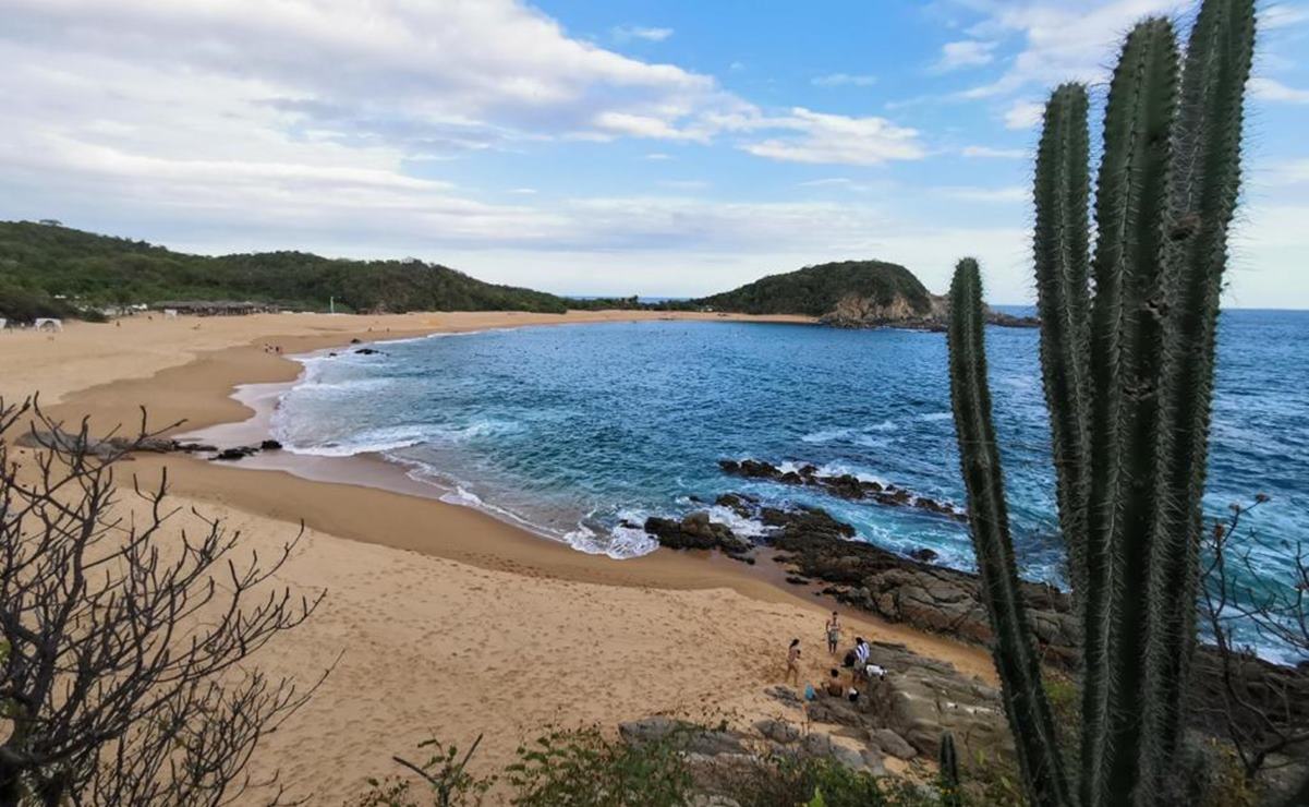Advierten ambientalistas que Oaxaca puede perder categoría del estado más diverso del país
