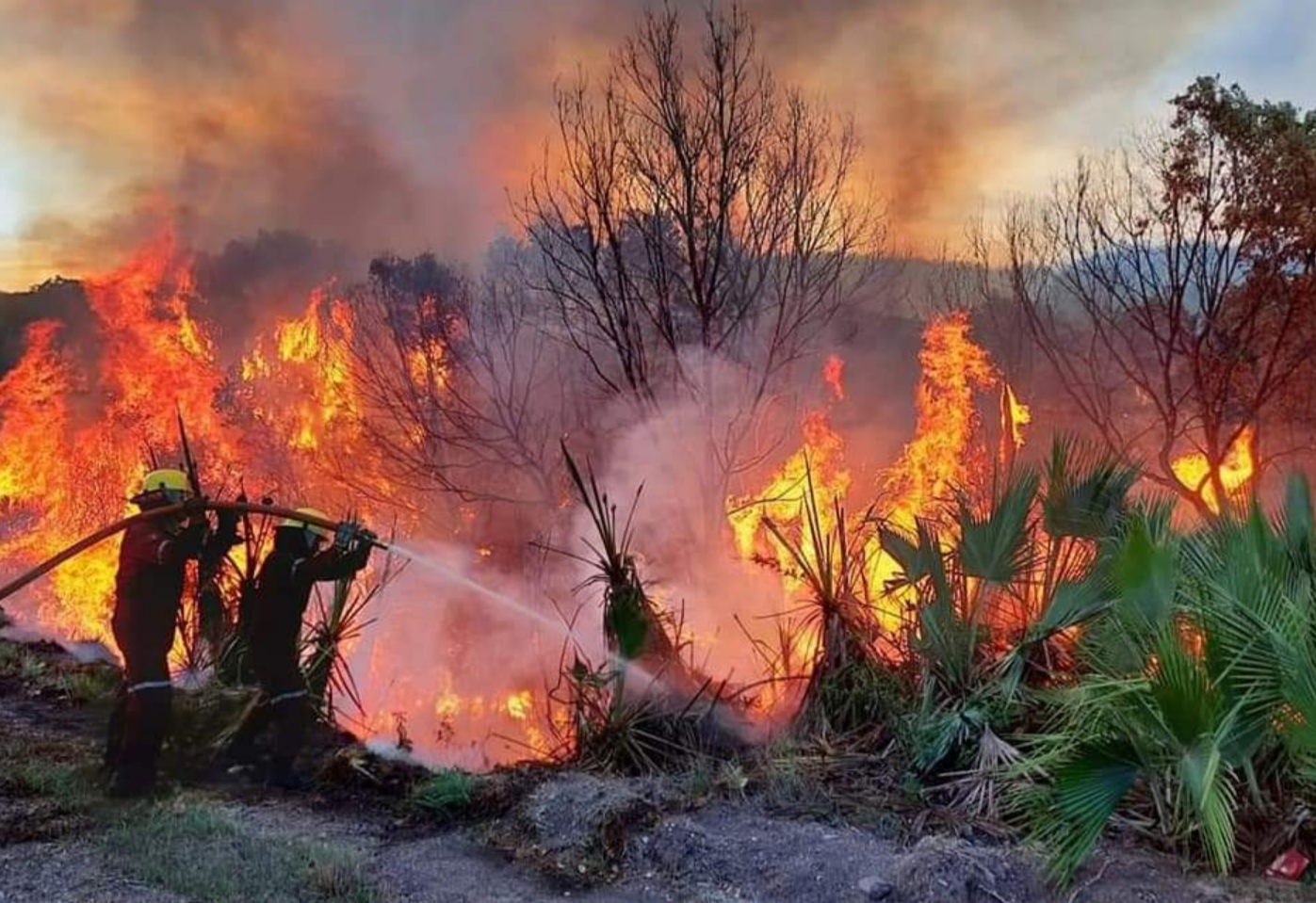 Consume fuego 5 hectáreas de pastizales en Huajuapan de León; suman 145 incendios en Oaxaca