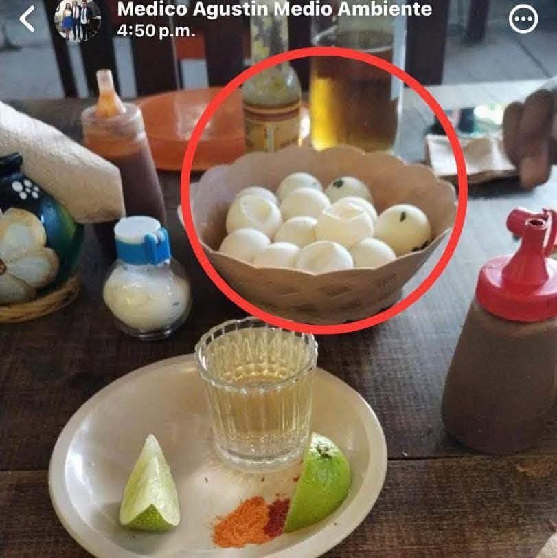 El funcionario presumió en redes sociales el consumo de huevos de tortuga