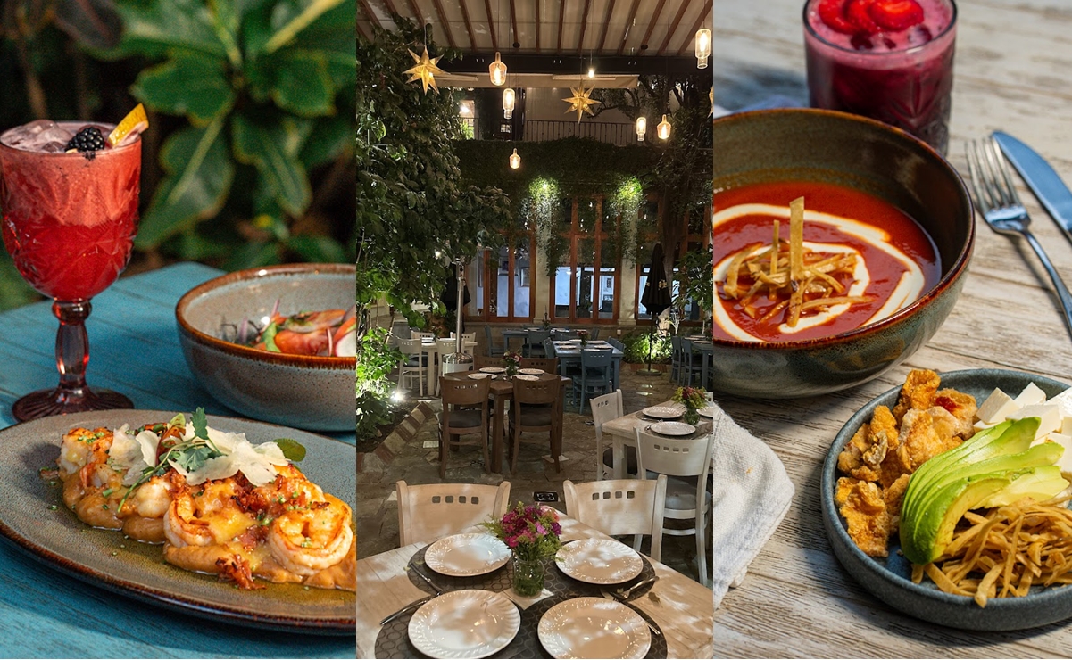 Este es el restaurante en Oaxaca que parece que se encuentra entre la selva