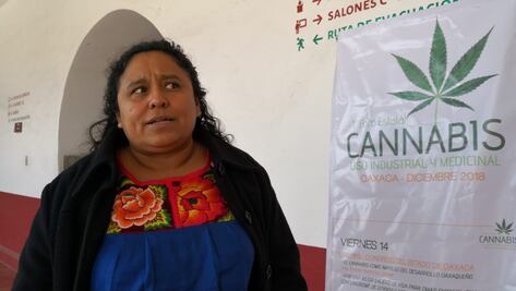 Defienden uso medicinal de la marihuana, usuarios piden legalización